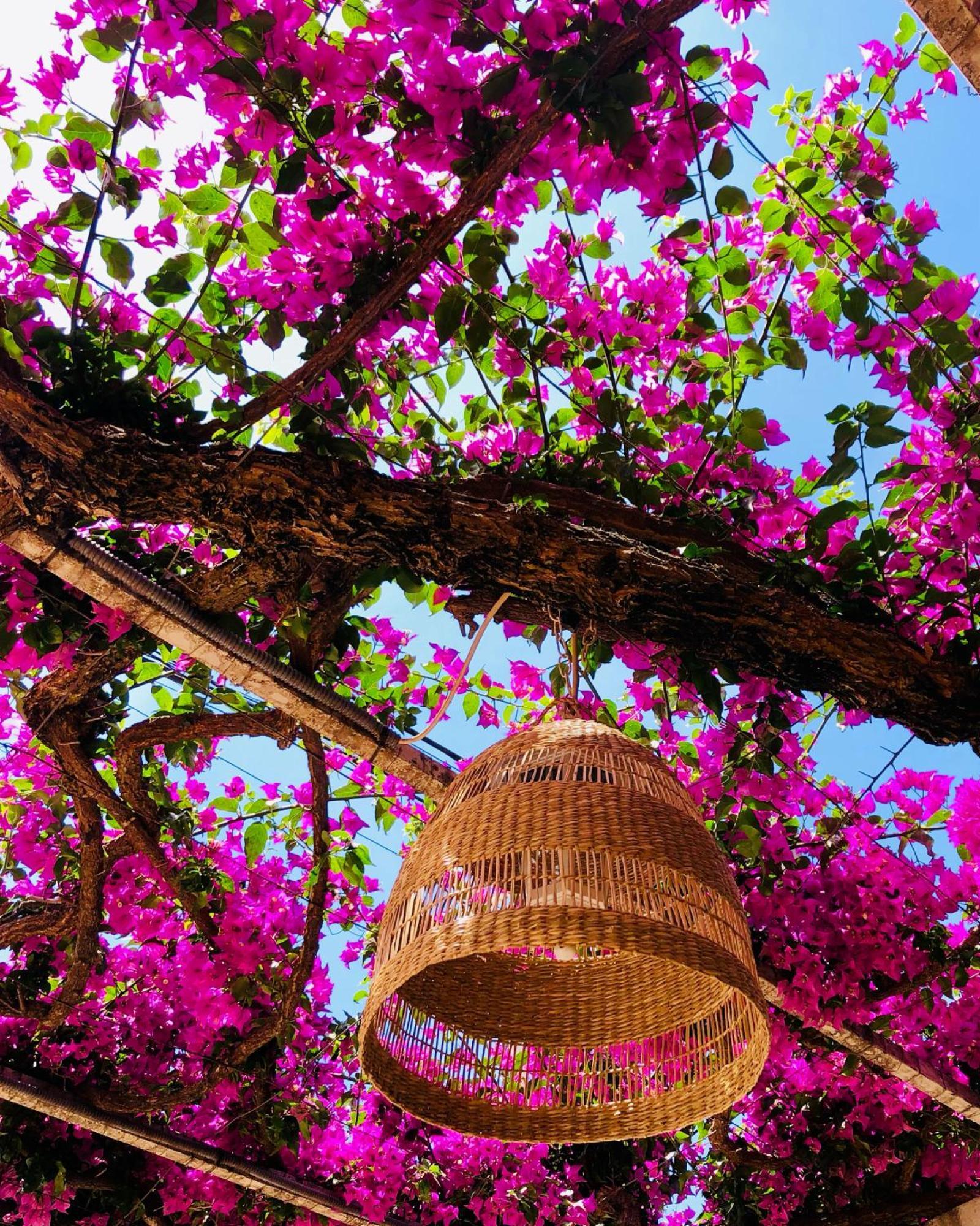Sol Port Soller Hotel Puerto de Sóller Ngoại thất bức ảnh