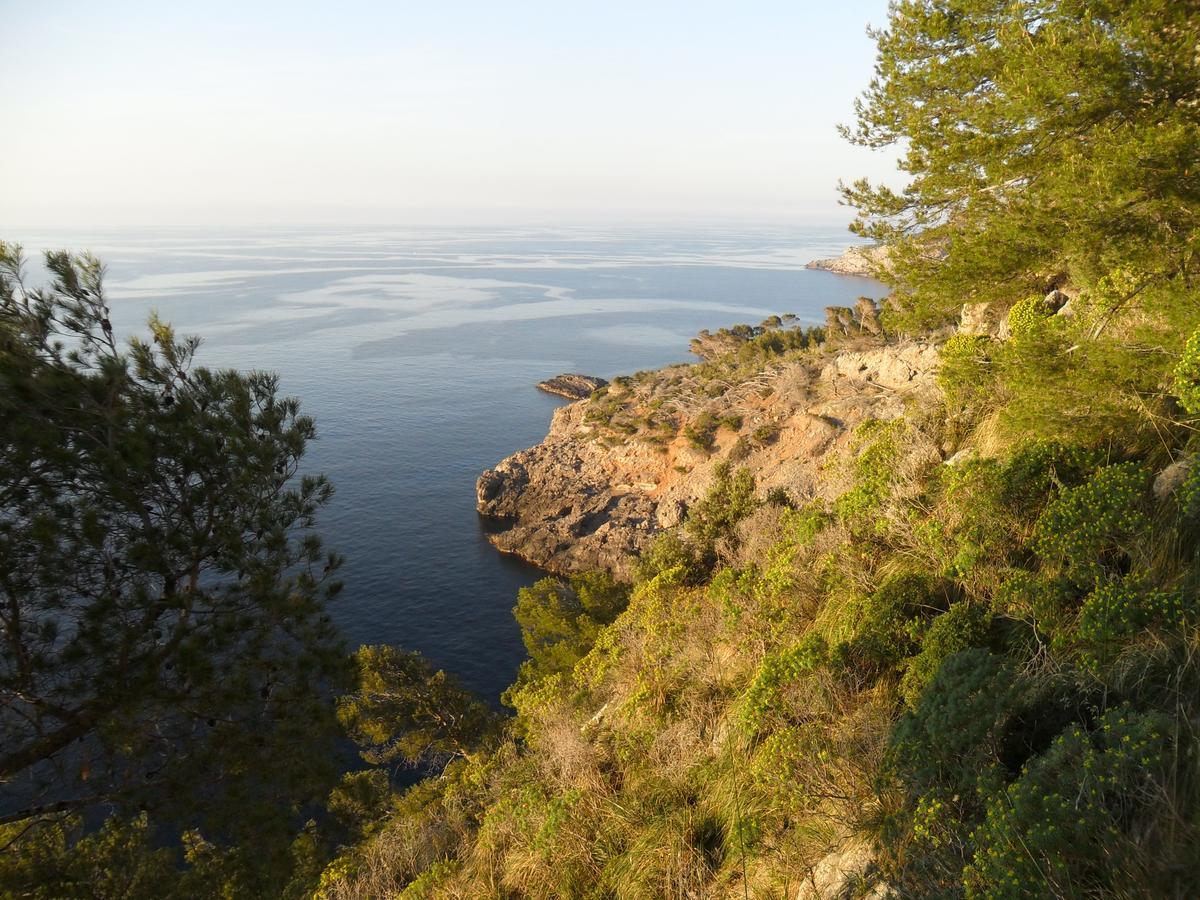 Sol Port Soller Hotel Puerto de Sóller Ngoại thất bức ảnh